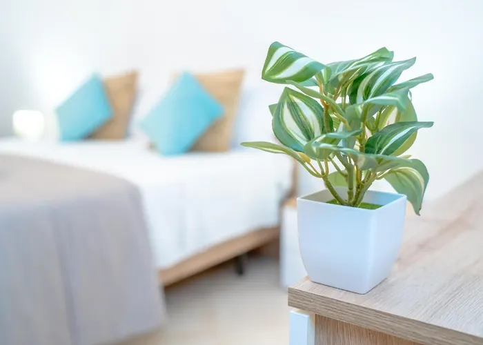 Apartment Dimora Dante 310 Bari