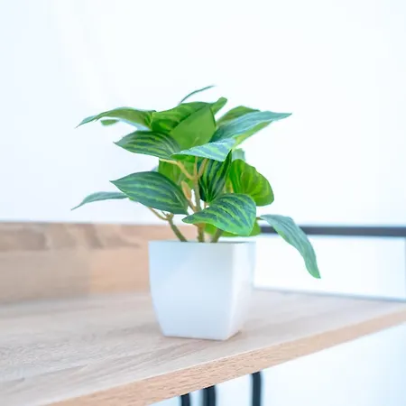 Dimora Dante 310 בארי